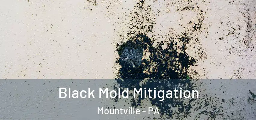  Black Mold Mitigation Mountville - PA
