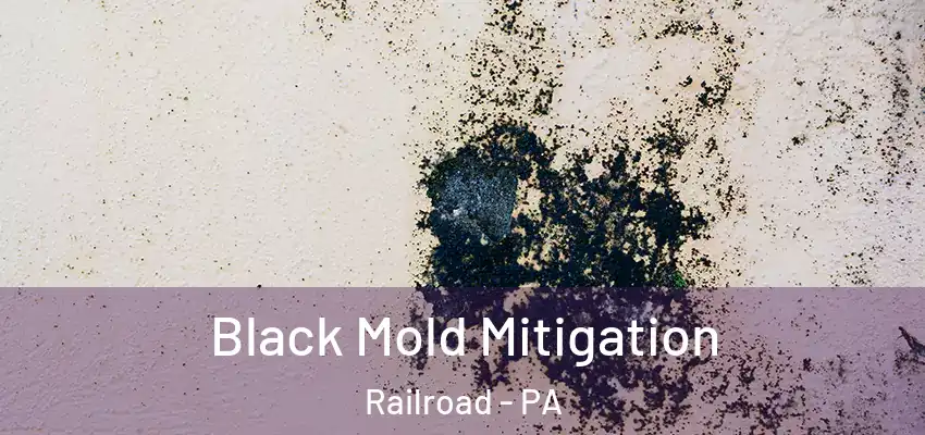 Black Mold Mitigation Railroad - PA