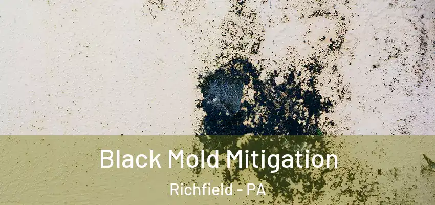  Black Mold Mitigation Richfield - PA