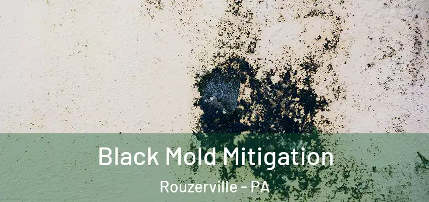  Black Mold Mitigation Rouzerville - PA