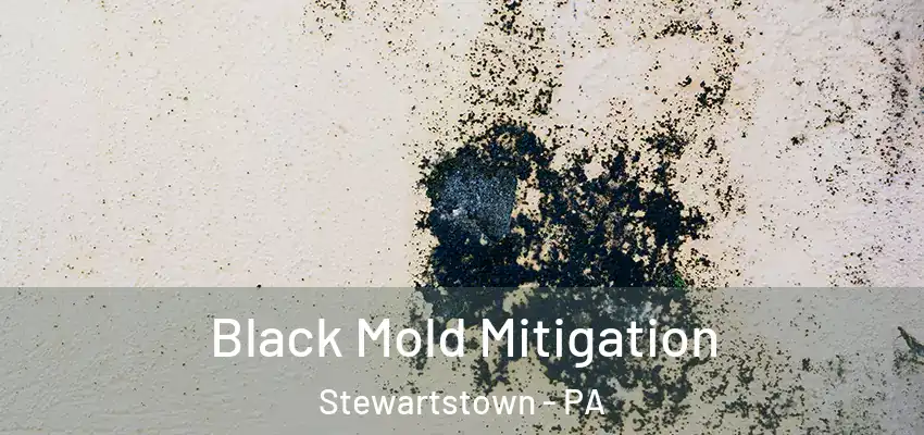 Black Mold Mitigation Stewartstown - PA