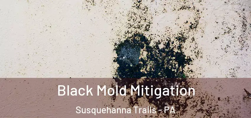 Black Mold Mitigation Susquehanna Trails - PA