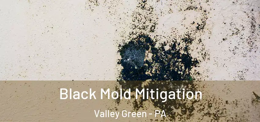 Black Mold Mitigation Valley Green - PA