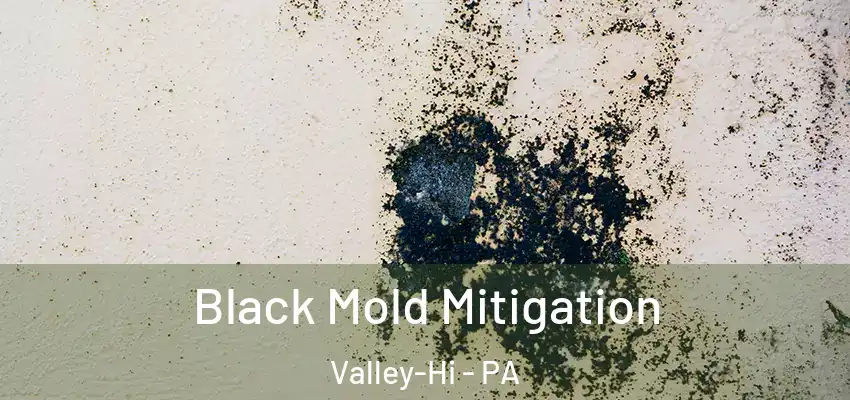 Black Mold Mitigation Valley-Hi - PA