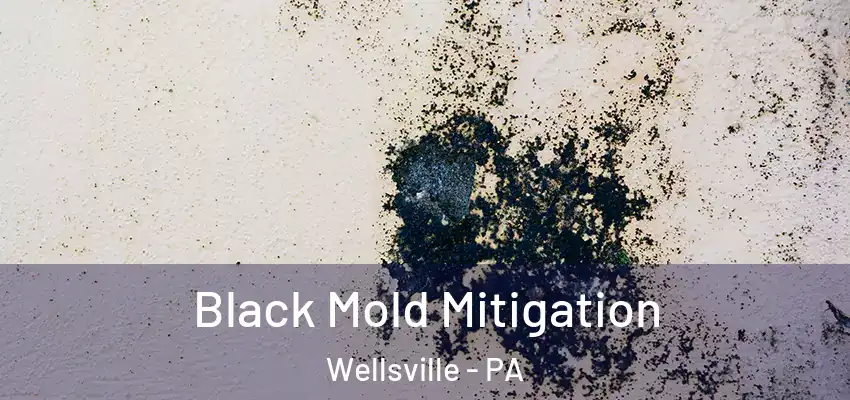 Black Mold Mitigation Wellsville - PA