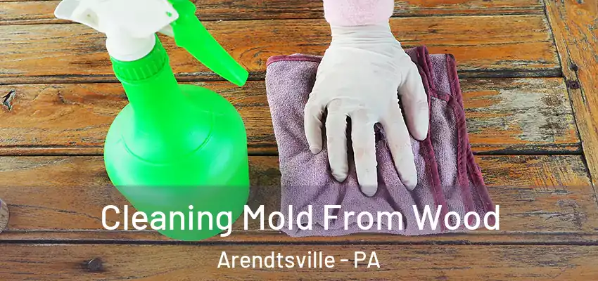 Cleaning Mold From Wood Arendtsville - PA