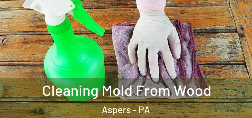 Cleaning Mold From Wood Aspers - PA