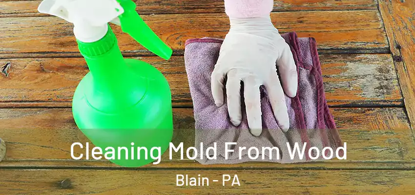 Cleaning Mold From Wood Blain - PA