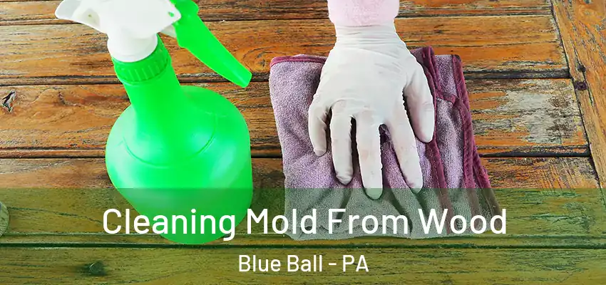 Cleaning Mold From Wood Blue Ball - PA
