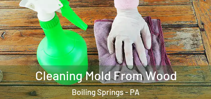 Cleaning Mold From Wood Boiling Springs - PA