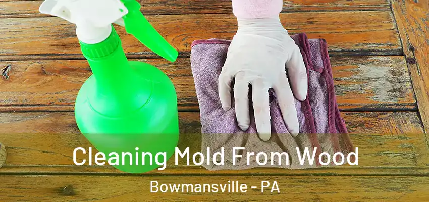 Cleaning Mold From Wood Bowmansville - PA