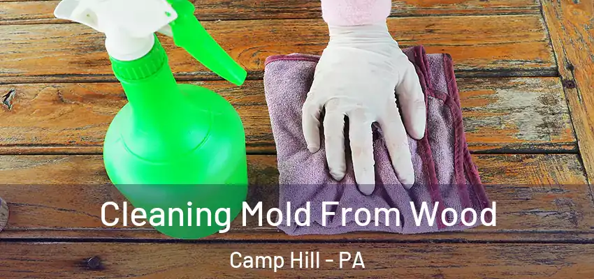 Cleaning Mold From Wood Camp Hill - PA