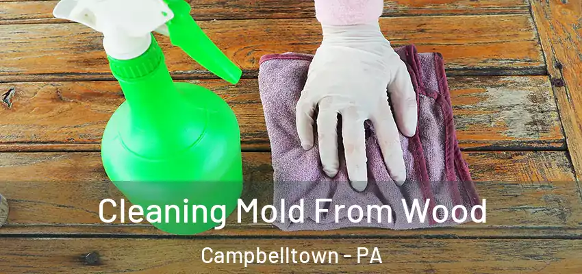 Cleaning Mold From Wood Campbelltown - PA