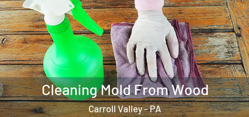  Cleaning Mold From Wood Carroll Valley - PA