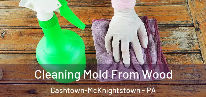  Cleaning Mold From Wood Cashtown-McKnightstown - PA