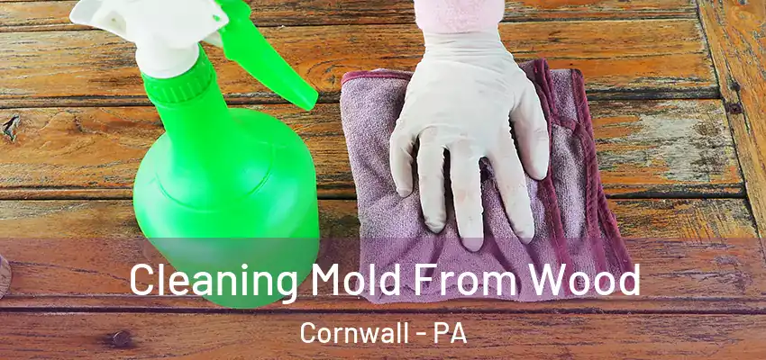 Cleaning Mold From Wood Cornwall - PA