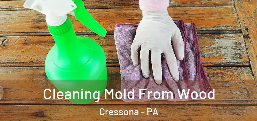 Cleaning Mold From Wood Cressona - PA