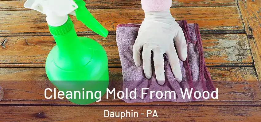 Cleaning Mold From Wood Dauphin - PA