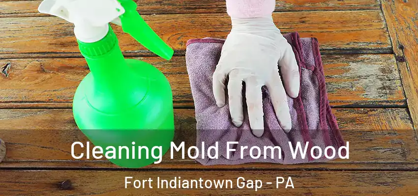 Cleaning Mold From Wood Fort Indiantown Gap - PA