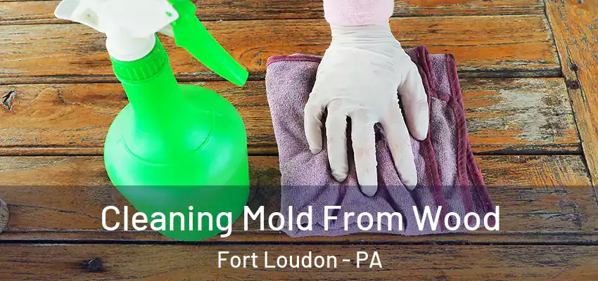  Cleaning Mold From Wood Fort Loudon - PA