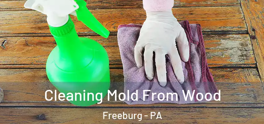  Cleaning Mold From Wood Freeburg - PA