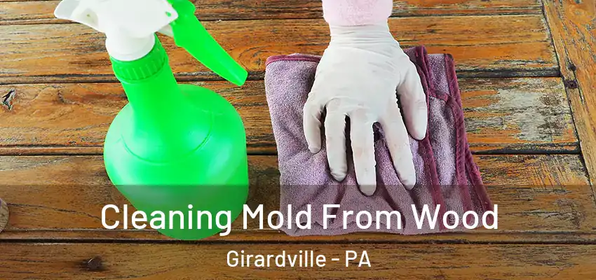 Cleaning Mold From Wood Girardville - PA