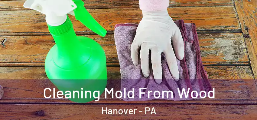 Cleaning Mold From Wood Hanover - PA