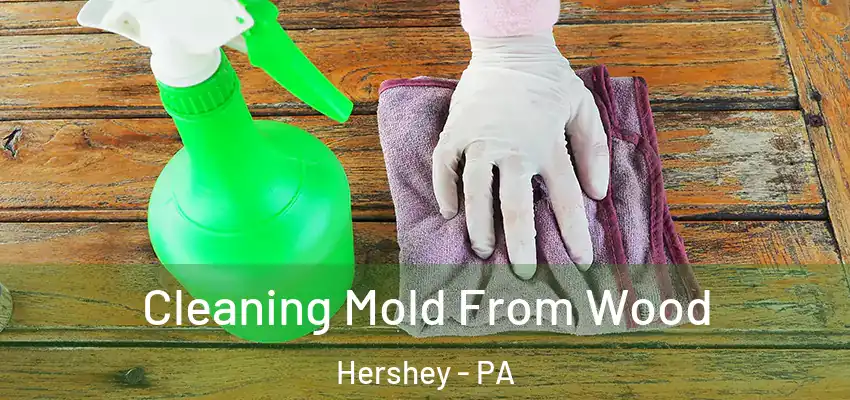  Cleaning Mold From Wood Hershey - PA