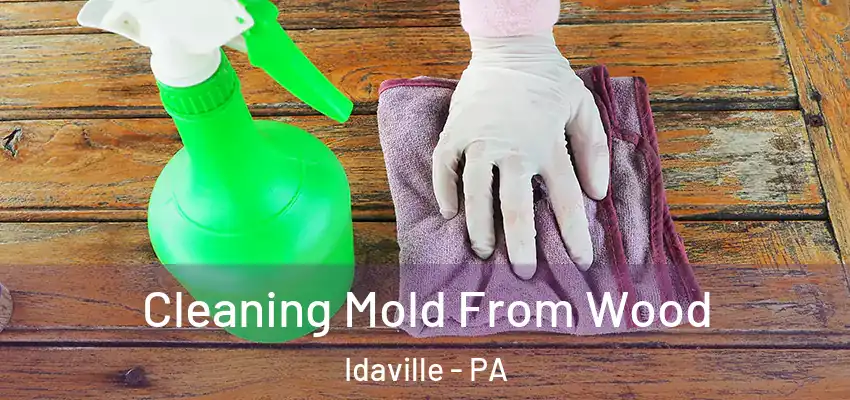  Cleaning Mold From Wood Idaville - PA