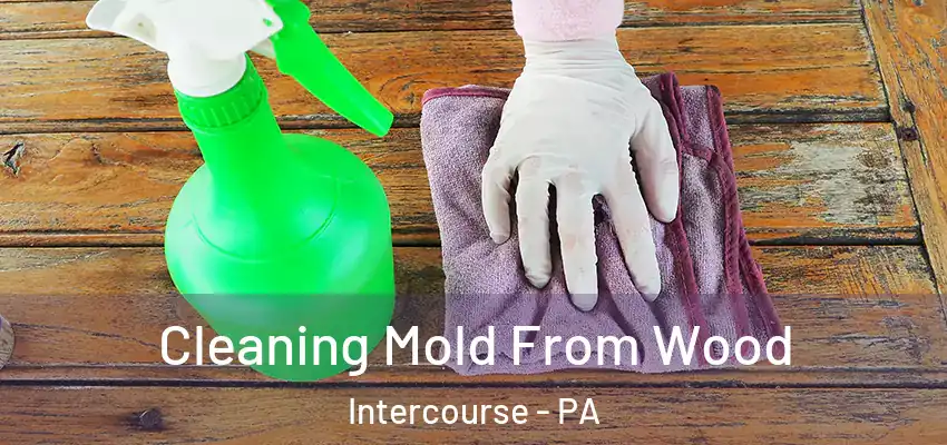  Cleaning Mold From Wood Intercourse - PA