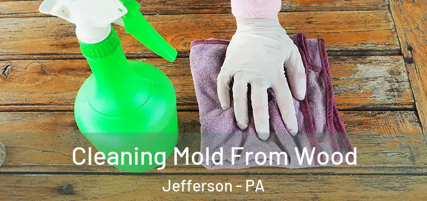  Cleaning Mold From Wood Jefferson - PA