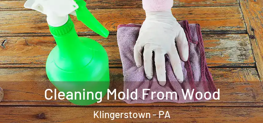  Cleaning Mold From Wood Klingerstown - PA