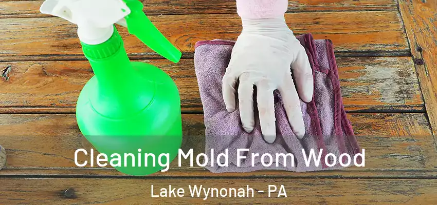 Cleaning Mold From Wood Lake Wynonah - PA