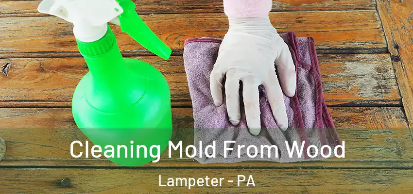  Cleaning Mold From Wood Lampeter - PA
