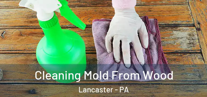 Cleaning Mold From Wood Lancaster - PA