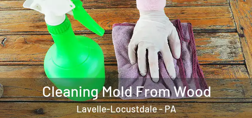 Cleaning Mold From Wood Lavelle-Locustdale - PA