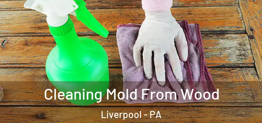 Cleaning Mold From Wood Liverpool - PA