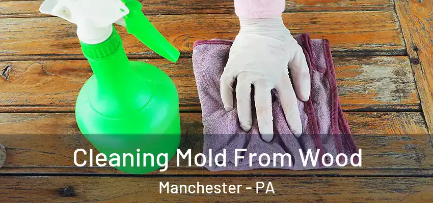  Cleaning Mold From Wood Manchester - PA