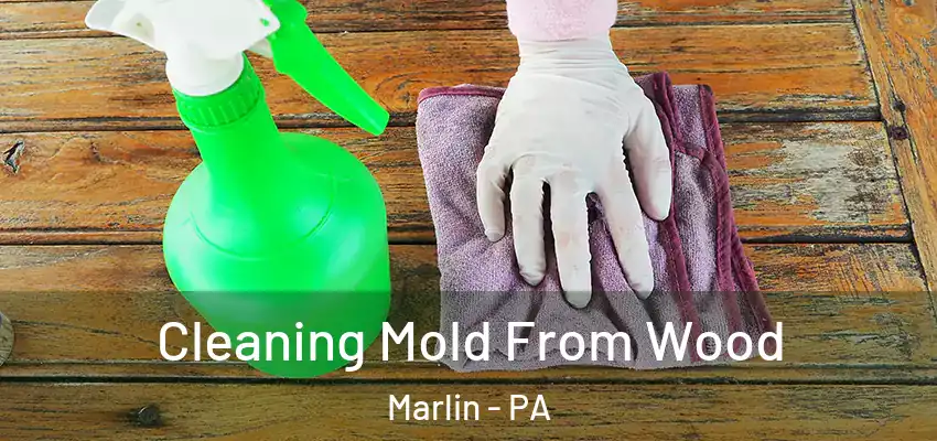  Cleaning Mold From Wood Marlin - PA