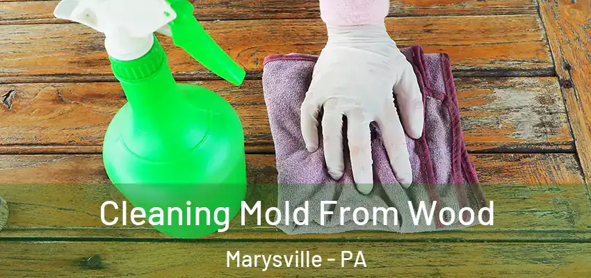  Cleaning Mold From Wood Marysville - PA
