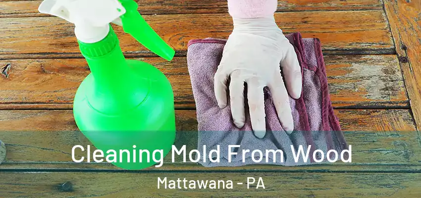 Cleaning Mold From Wood Mattawana - PA