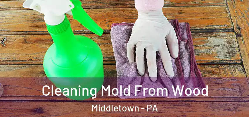 Cleaning Mold From Wood Middletown - PA