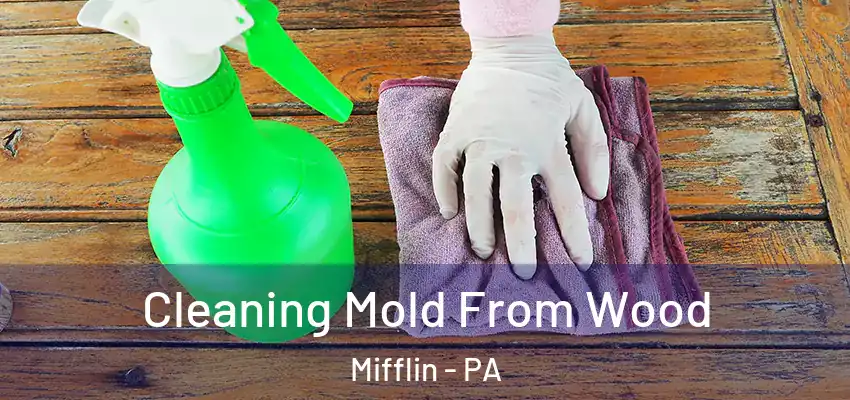 Cleaning Mold From Wood Mifflin - PA