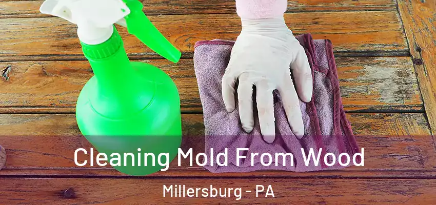  Cleaning Mold From Wood Millersburg - PA