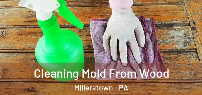  Cleaning Mold From Wood Millerstown - PA