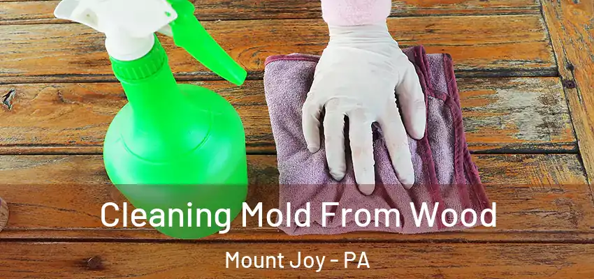 Cleaning Mold From Wood Mount Joy - PA