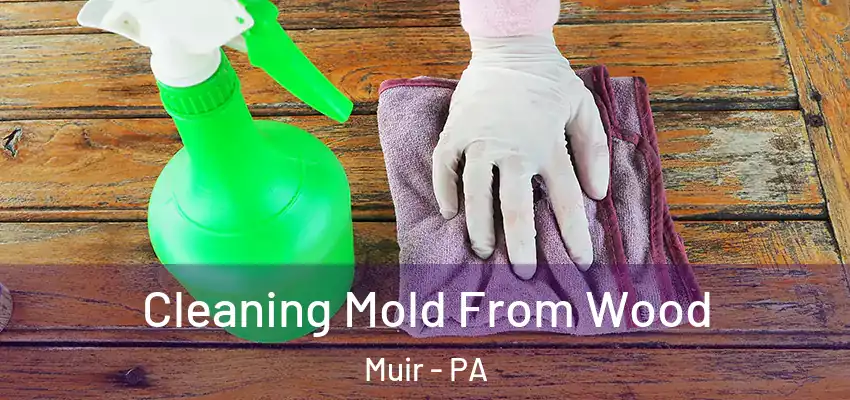  Cleaning Mold From Wood Muir - PA