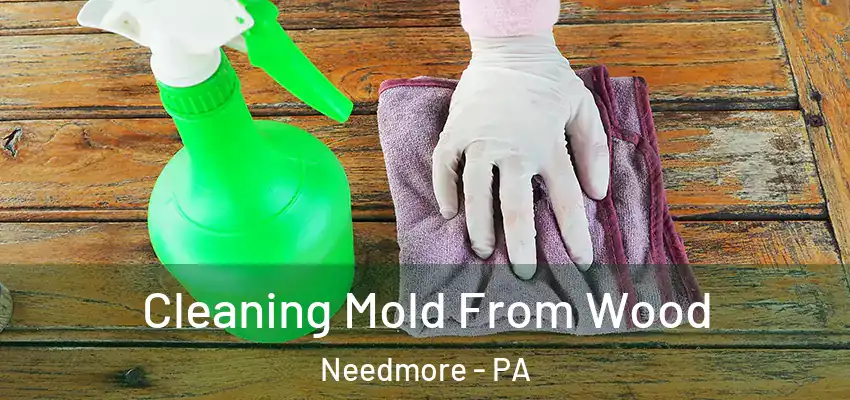  Cleaning Mold From Wood Needmore - PA