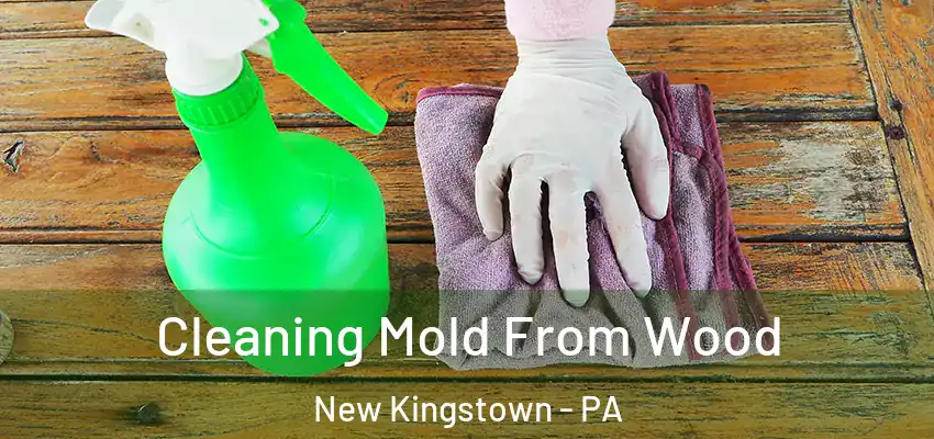  Cleaning Mold From Wood New Kingstown - PA