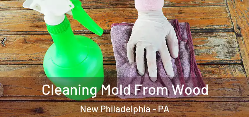 Cleaning Mold From Wood New Philadelphia - PA